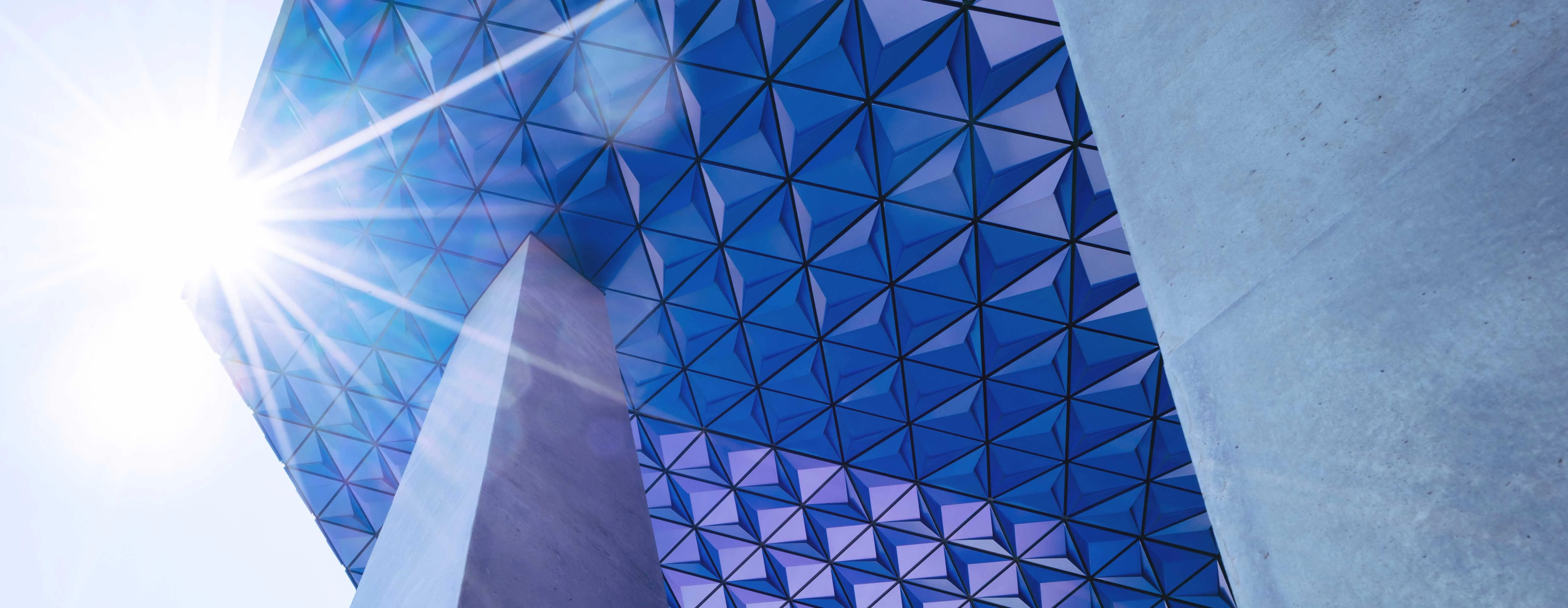 Meet Tyler Patterson, Ever Accountable’s President & Founder