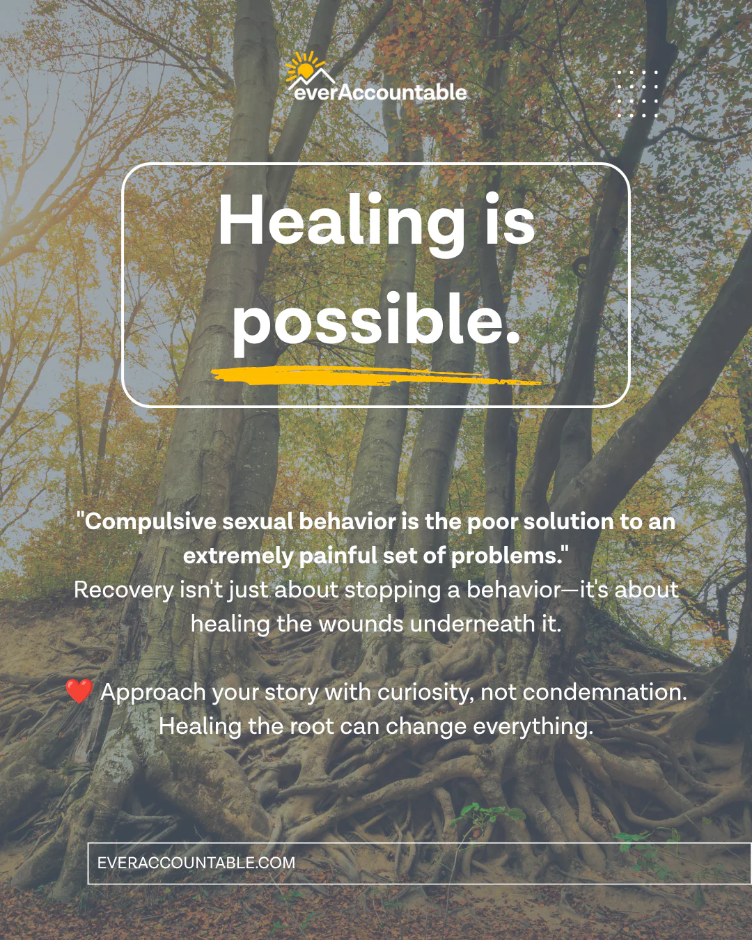 Healing is possible - compulsive sexual behavior is the poor solution to an extremely painful set of problems - Ever Accountable